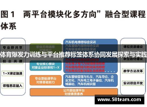 体育爆发力训练与平台推荐标签体系协同发展探索与实践